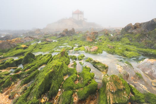 Moss-covered rocks leading to a chapel in misty coastal Portugal. Serene and mystical atmosphere.